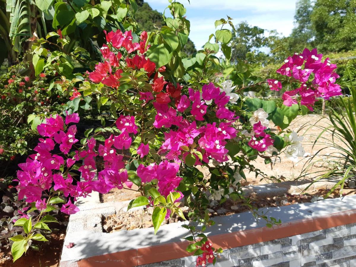 Phong Nha Bolero Bungalow ภายนอก รูปภาพ