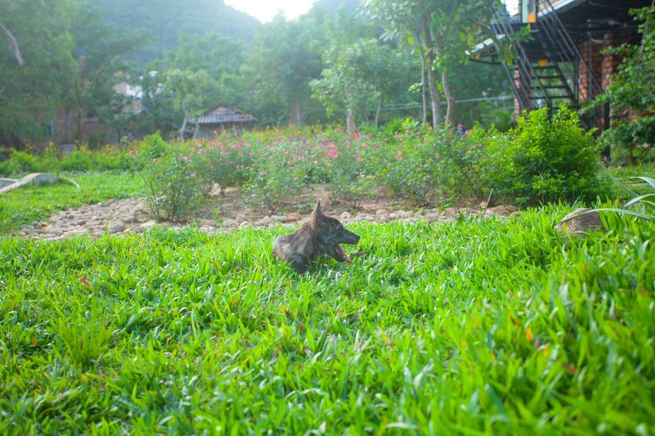 Phong Nha Bolero Bungalow ห้อง รูปภาพ