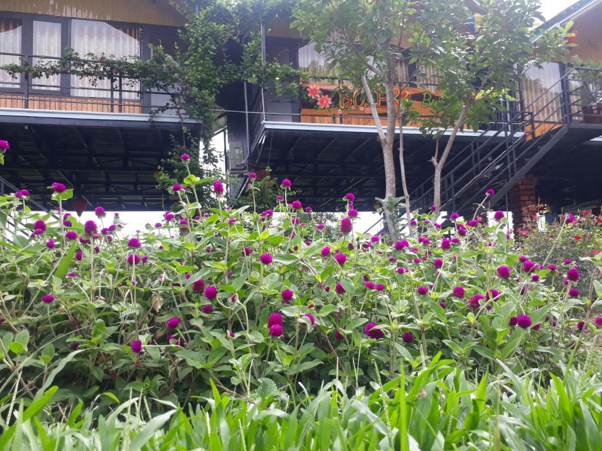 Phong Nha Bolero Bungalow ภายนอก รูปภาพ